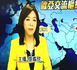 张嘉欣最新爆料消息视频,事件真相与幕后黑幕大起底